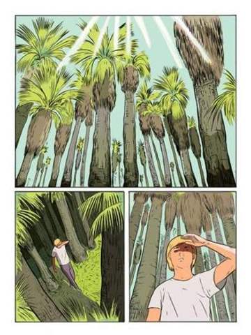 Floyds, palm canopy